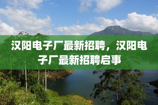 漢陽電子廠最新招聘，漢陽電子廠最新招聘啟事
