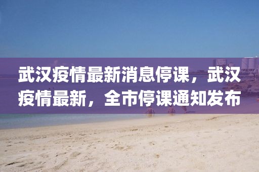 武漢疫情最新消息停課，武漢疫情最新，全市停課通知發(fā)布