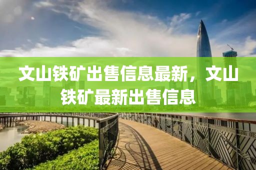 文山鐵礦出售信息最新，文山鐵礦最新出售信息