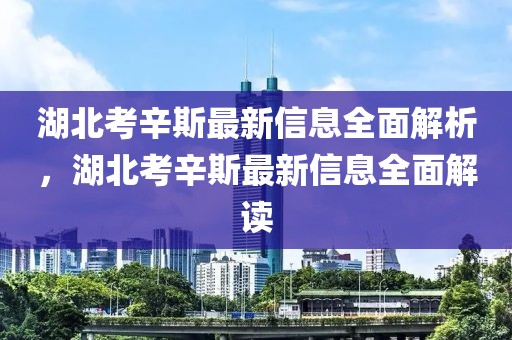 湖北考辛斯最新信息全面解析，湖北考辛斯最新信息全面解讀