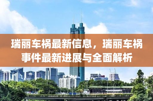 瑞麗車禍最新信息，瑞麗車禍?zhǔn)录钚逻M(jìn)展與全面解析