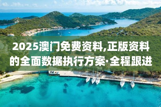 2025澳門(mén)免費(fèi)資料,正版資料的全面數(shù)據(jù)執(zhí)行方案·全程跟進(jìn)