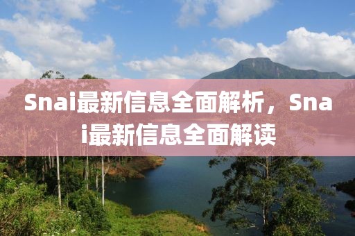 Snai最新信息全面解析，Snai最新信息全面解讀