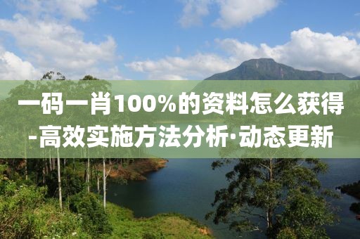 一碼一肖100%的資料怎么獲得-高效實(shí)施方法分析·動態(tài)更新