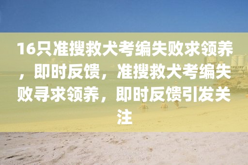 16只準(zhǔn)搜救犬考編失敗求領(lǐng)養(yǎng)，即時(shí)反饋，準(zhǔn)搜救犬考編失敗尋求領(lǐng)養(yǎng)，即時(shí)反饋引發(fā)關(guān)注
