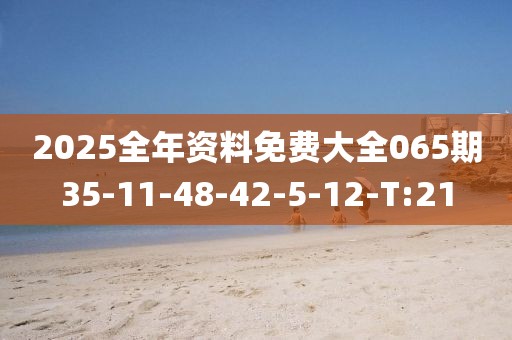 2025全年資料免費大全065期35-11-48-42-5-12-T:21