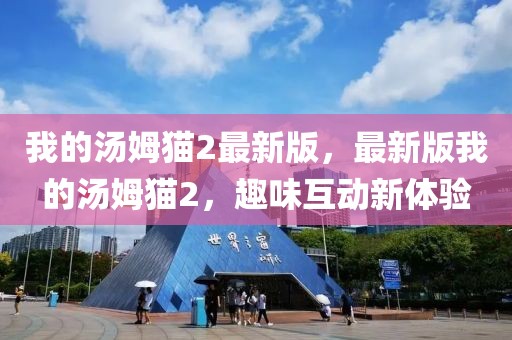 我的湯姆貓2最新版，最新版我的湯姆貓2，趣味互動(dòng)新體驗(yàn)