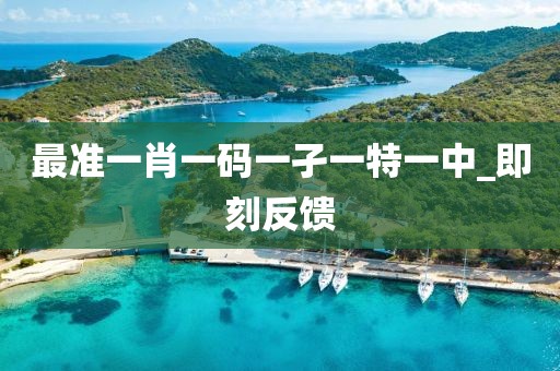 最準(zhǔn)一肖一碼一孑一特一中_即刻反饋