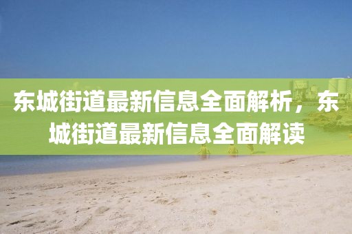 東城街道最新信息全面解析，東城街道最新信息全面解讀