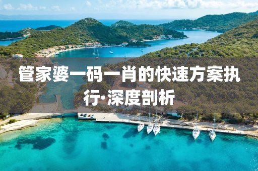 管家婆一碼一肖的快速方案執(zhí)行·深度剖析