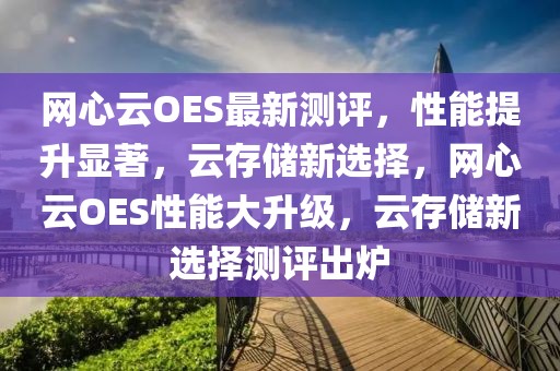 網(wǎng)心云OES最新測(cè)評(píng)，性能提升顯著，云存儲(chǔ)新選擇，網(wǎng)心云OES性能大升級(jí)，云存儲(chǔ)新選擇測(cè)評(píng)出爐
