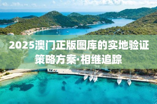 2025澳門(mén)正版圖庫(kù)的實(shí)地驗(yàn)證策略方案·相繼追蹤