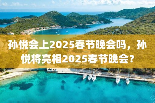 孫悅會(huì)上2025春節(jié)晚會(huì)嗎，孫悅將亮相2025春節(jié)晚會(huì)？