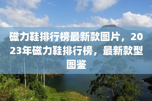 磁力鞋排行榜最新款圖片，2023年磁力鞋排行榜，最新款型圖鑒