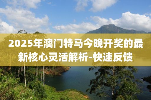 2025年澳門特馬今晚開獎的最新核心靈活解析-快速反饋