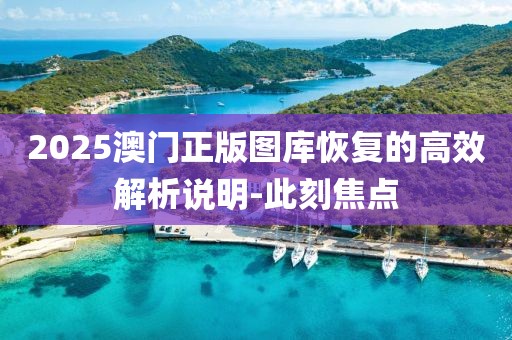 2025澳門正版圖庫恢復(fù)的高效解析說明-此刻焦點