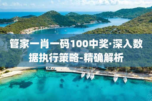 管家一肖一碼100中獎(jiǎng)·深入數(shù)據(jù)執(zhí)行策略-精確解析