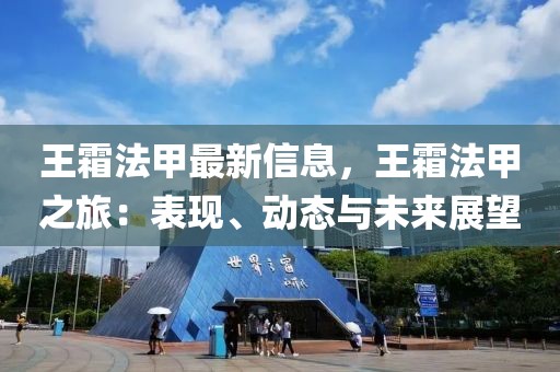 王霜法甲最新信息，王霜法甲之旅：表現(xiàn)、動(dòng)態(tài)與未來(lái)展望