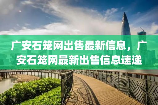 廣安石籠網(wǎng)出售最新信息，廣安石籠網(wǎng)最新出售信息速遞