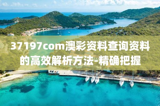 37197com澳彩資料查詢資料的高效解析方法-精確把握