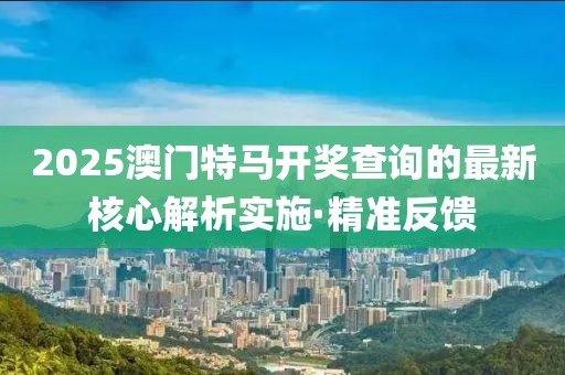 2025澳門特馬開獎查詢的最新核心解析實施·精準反饋
