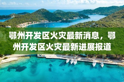 鄂州開發(fā)區(qū)火災(zāi)最新消息，鄂州開發(fā)區(qū)火災(zāi)最新進(jìn)展報(bào)道