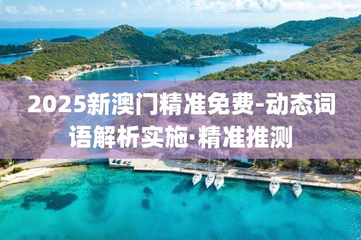 2025新澳門精準(zhǔn)免費(fèi)-動(dòng)態(tài)詞語解析實(shí)施·精準(zhǔn)推測