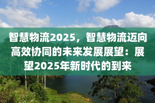 智慧物流2025，智慧物流邁向高效協(xié)同的未來發(fā)展展望：展望2025年新時代的到來