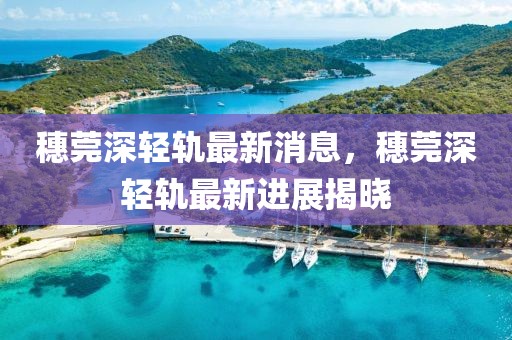 穗莞深輕軌最新消息，穗莞深輕軌最新進(jìn)展揭曉