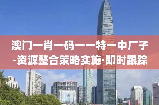 澳門一肖一碼一一特一中廠子-資源整合策略實施·即時跟蹤