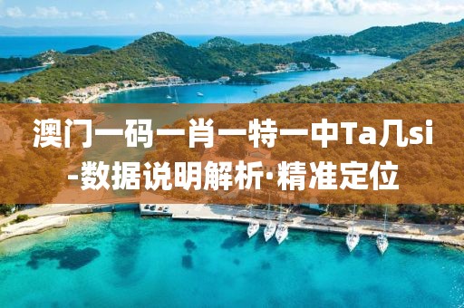澳門一碼一肖一特一中Ta幾si-數(shù)據(jù)說明解析·精準(zhǔn)定位