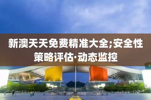 新澳天天免費精準大全;安全性策略評估·動態(tài)監(jiān)控