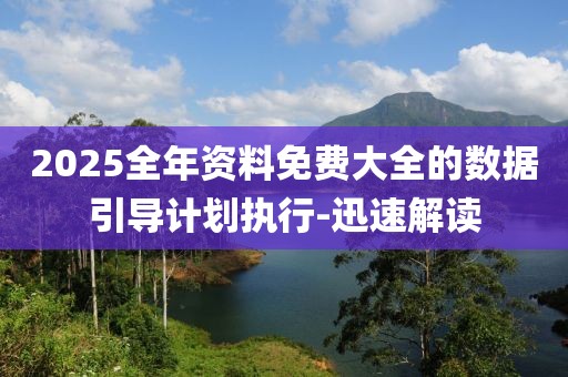 2025全年資料免費(fèi)大全的數(shù)據(jù)引導(dǎo)計(jì)劃執(zhí)行-迅速解讀
