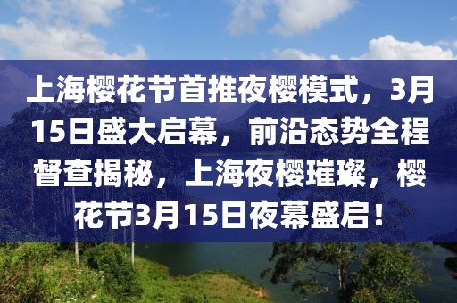 上海櫻花節(jié)首推夜櫻模式，3月15日盛大啟幕，前沿態(tài)勢全程督查揭秘，上海夜櫻璀璨，櫻花節(jié)3月15日夜幕盛啟！