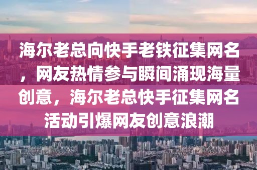 海爾老總向快手老鐵征集網(wǎng)名，網(wǎng)友熱情參與瞬間涌現(xiàn)海量創(chuàng)意，海爾老總快手征集網(wǎng)名活動引爆網(wǎng)友創(chuàng)意浪潮