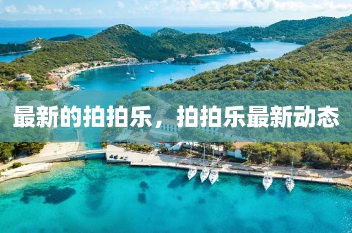 最新的拍拍樂，拍拍樂最新動態(tài)