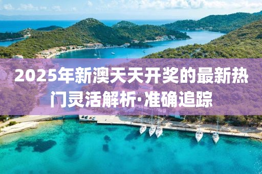2025年新澳天天開獎的最新熱門靈活解析·準(zhǔn)確追蹤