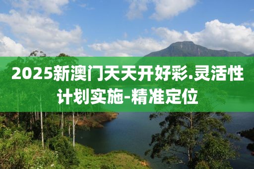 2025新澳門天天開好彩.靈活性計(jì)劃實(shí)施-精準(zhǔn)定位