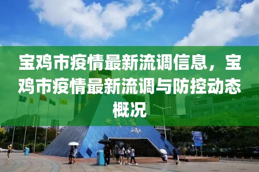 寶雞市疫情最新流調(diào)信息，寶雞市疫情最新流調(diào)與防控動態(tài)概況
