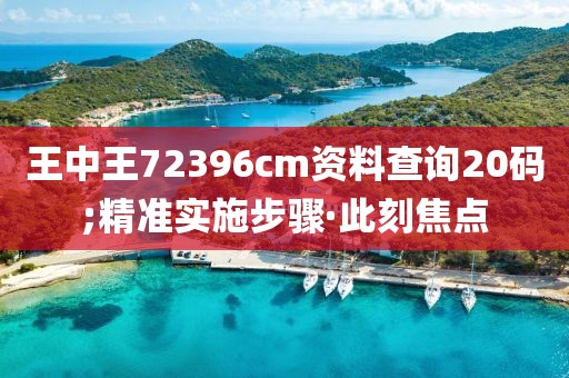 王中王72396cm資料查詢20碼;精準實施步驟·此刻焦點