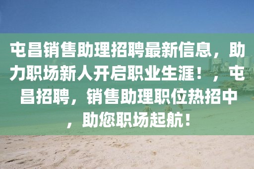 屯昌銷(xiāo)售助理招聘最新信息，助力職場(chǎng)新人開(kāi)啟職業(yè)生涯！，屯昌招聘，銷(xiāo)售助理職位熱招中，助您職場(chǎng)起航！