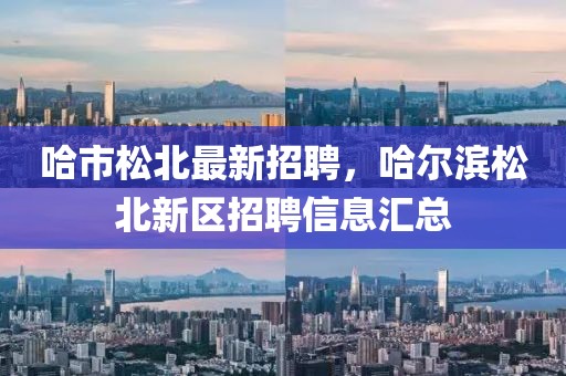 哈市松北最新招聘，哈爾濱松北新區(qū)招聘信息匯總