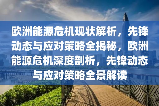 歐洲能源危機現(xiàn)狀解析，先鋒動態(tài)與應(yīng)對策略全揭秘，歐洲能源危機深度剖析，先鋒動態(tài)與應(yīng)對策略全景解讀