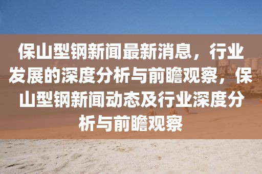 保山型鋼新聞最新消息，行業(yè)發(fā)展的深度分析與前瞻觀察，保山型鋼新聞動態(tài)及行業(yè)深度分析與前瞻觀察