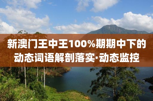 新澳門王中王100%期期中下的動態(tài)詞語解剖落實·動態(tài)監(jiān)控