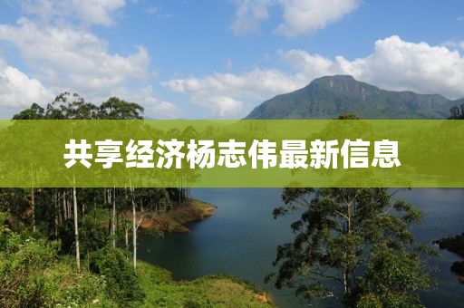 共享經(jīng)濟楊志偉最新信息