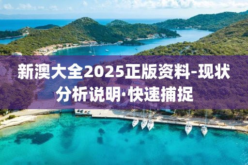 新澳大全2025正版資料-現(xiàn)狀分析說明·快速捕捉